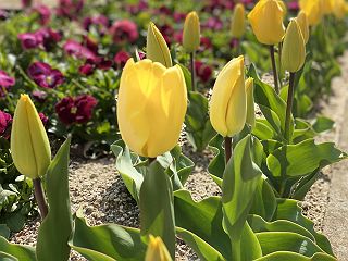 0417
