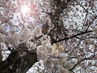 0421