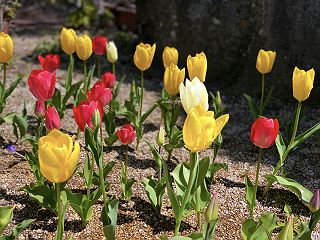 0422