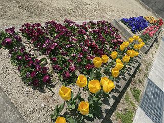 0424