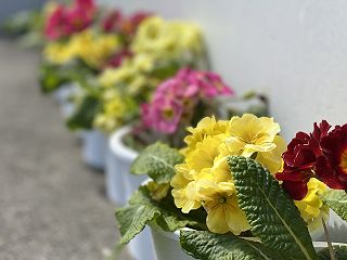 0424