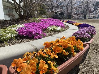 0424