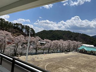 0428