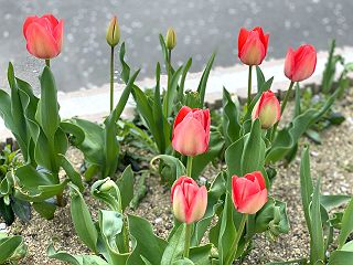0428