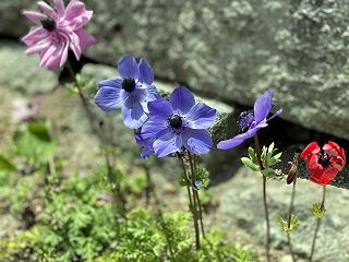0507