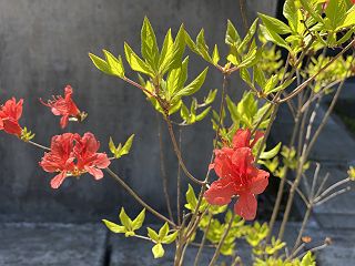 0511