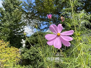 0918