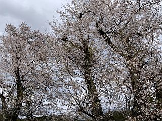 0416