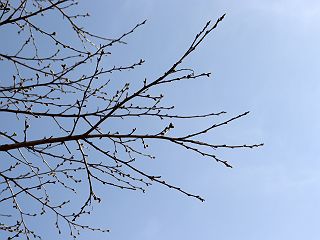 0407