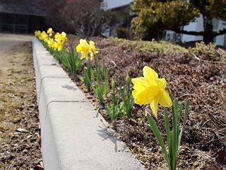 0407