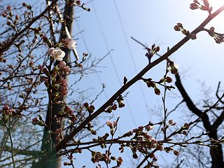0412