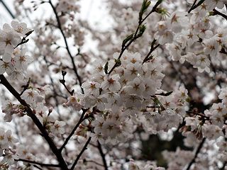 0414