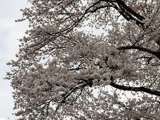 0418