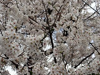 0418