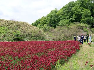 0526