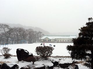 011032