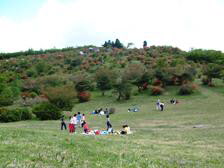 県立公園五十人山の写真(3)