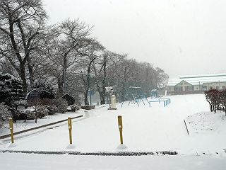 012501