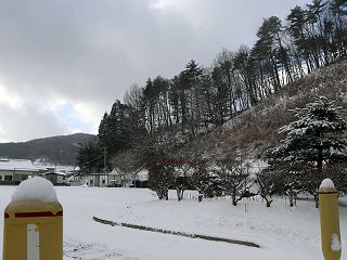 013124