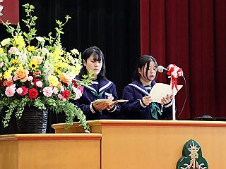 04062a