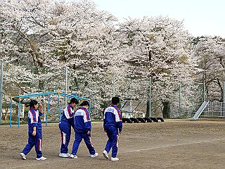 041140