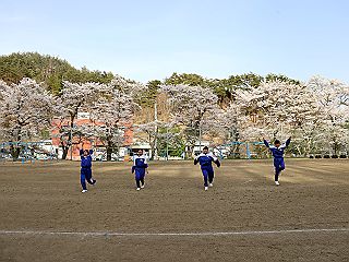 041141
