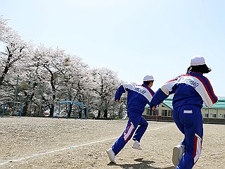 04131t