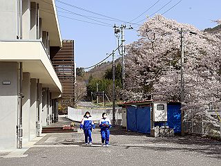 013120