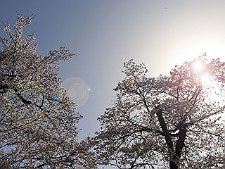 041323
