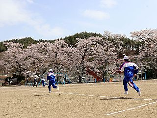 04141p