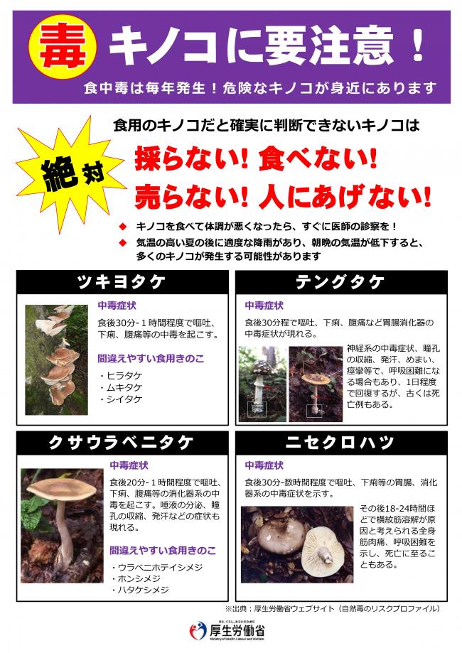 毒キノコチラシ1