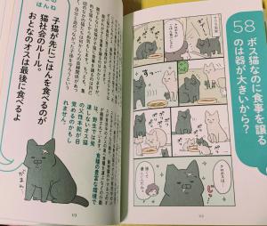 社会　おすすめ　中身