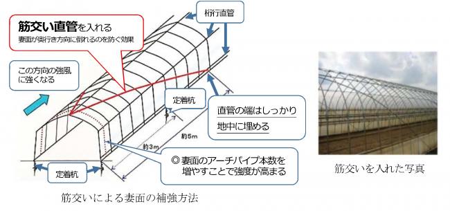 （画像）ハウス補強
