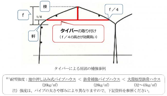 （画像）ハウスタイバー