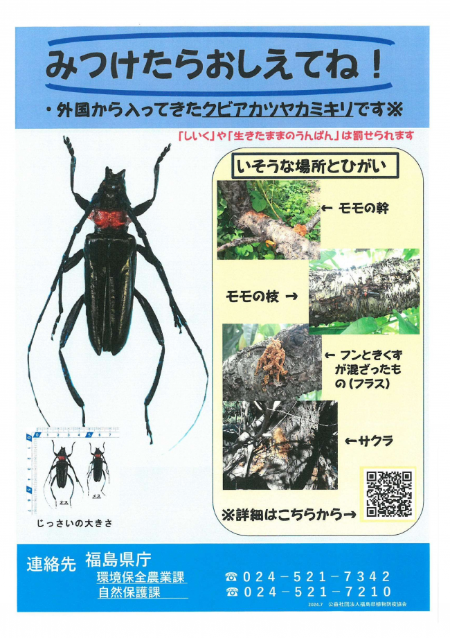 クビアカツヤカミキリ　ポスター2