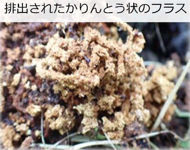 フラス