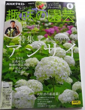 2025　6　雑誌　1