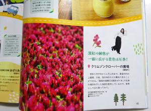 2025　6　雑誌　9