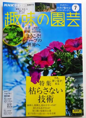 2025　7　雑誌　1