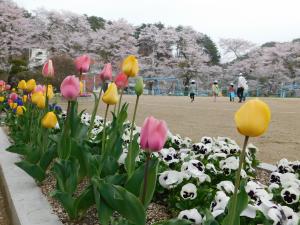 第5回ふるさと葛尾の風景写真展　2