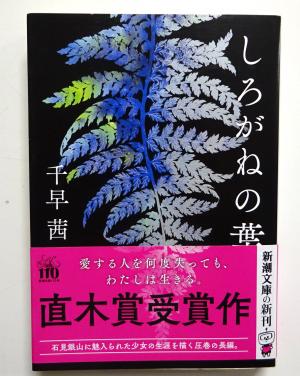 2025　10　新刊書籍　5