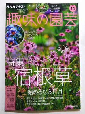 2025　新刊雑誌　11　1
