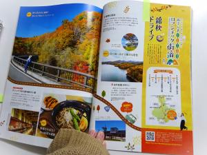 2025　新刊雑誌　11　4