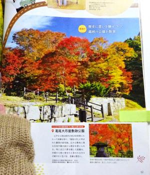 2025　新刊雑誌　11　5