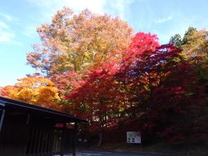 大尽屋敷　20251105　1