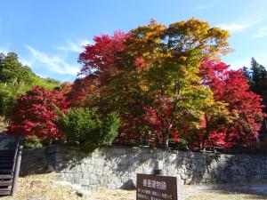 大尽屋敷　20251105　9