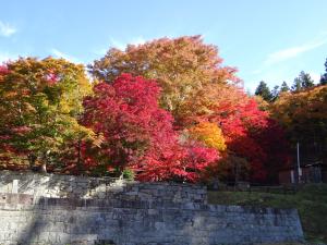 大尽屋敷　20251105　10