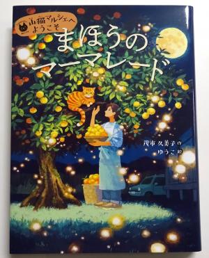 2025　11　新刊書籍　9