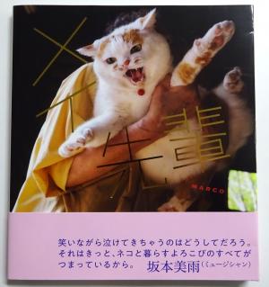 2025　11　新刊書籍　11