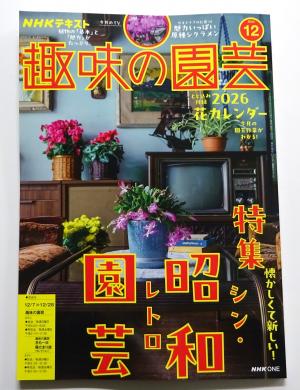 2025　新刊雑誌　12　1